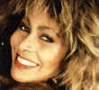 ���� ������_TinaTurner.bmp (33254 bytes)